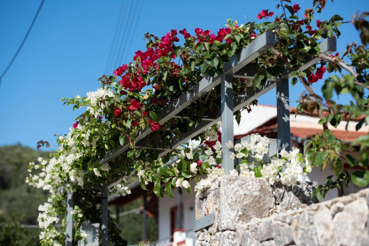 Casa Dell Amore Petriti  Exterior photo